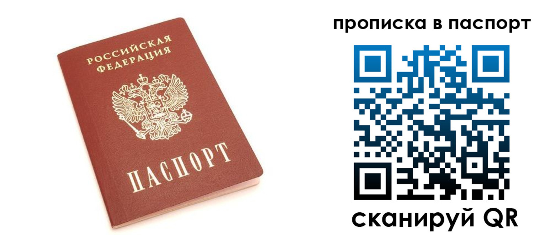 прописка паспорт в Пионерском